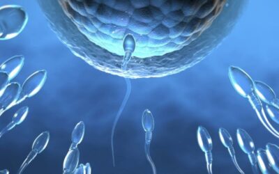 Mainstream Media Admits Global Fertility Falling, Won’t Say Why