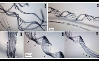 Recent Study Shows Self-Assembly Nanobots in the COVID-19 Injectables