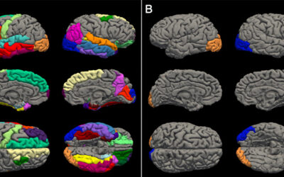 Covid Lockdown Accelerated Aging of Teen Brains — Study